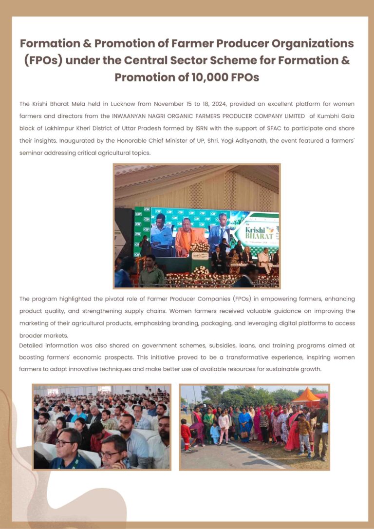 Newsletter November 2024